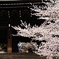 京都‧知恩院