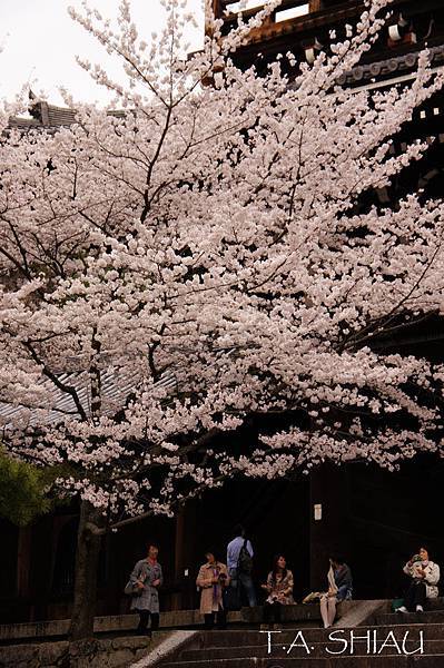 京都‧知恩院