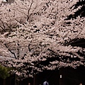 京都‧知恩院