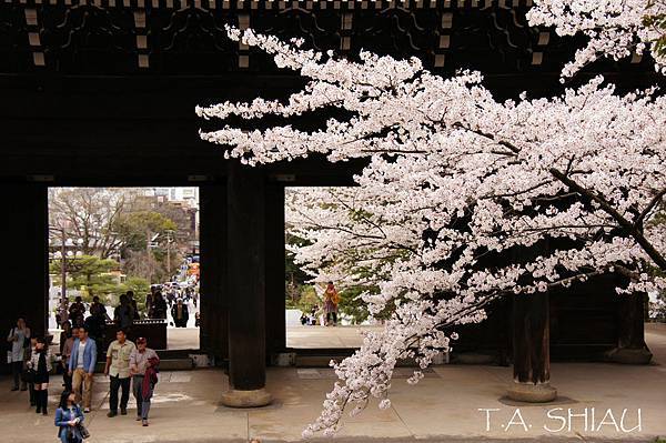 京都‧知恩院