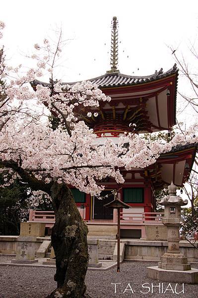 京都‧知恩院