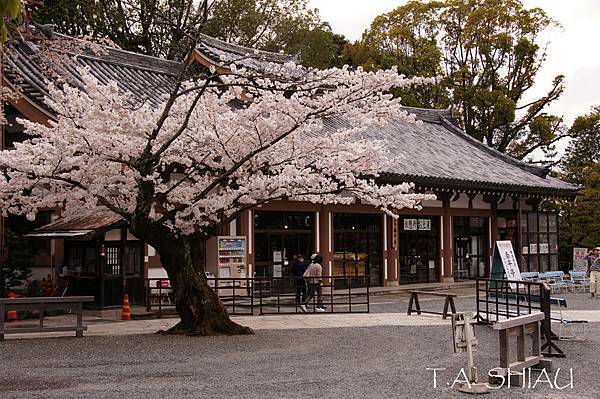 京都‧知恩院