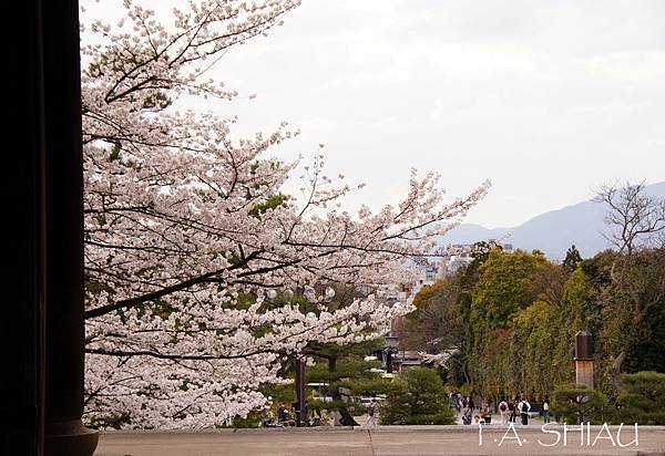 京都‧知恩院