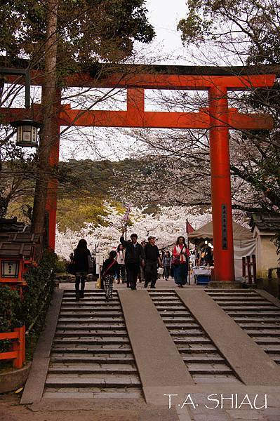 京都‧八坂神社