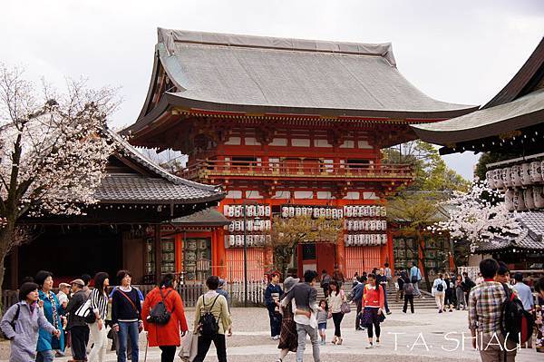 京都‧八坂神社