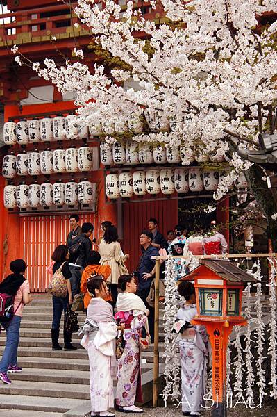 京都‧八坂神社