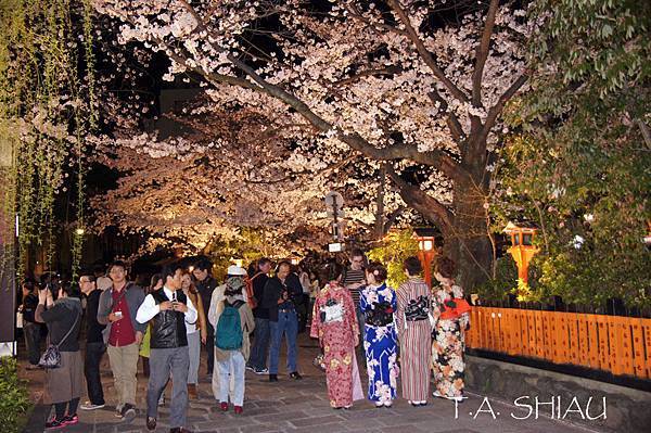 京都‧祇園‧白川南通