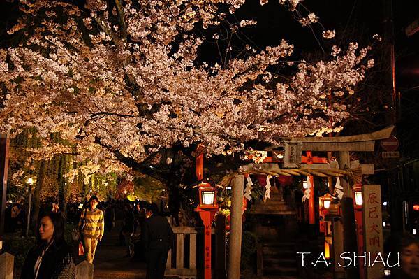 京都‧祇園‧白川南通