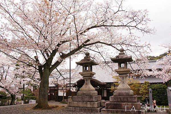 京都‧清水寺