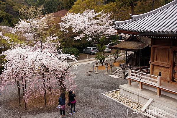 京都‧清水寺