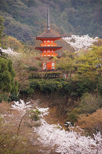 京都‧清水寺