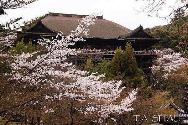 京都‧清水寺