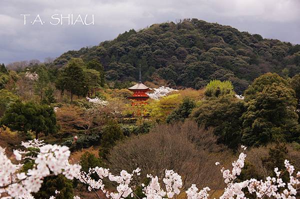 京都‧清水寺