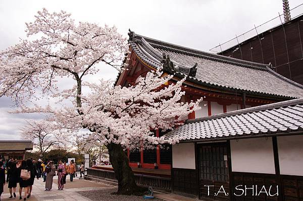 京都‧清水寺