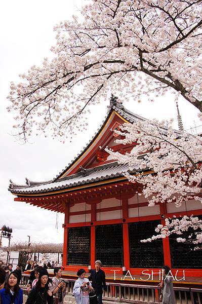 京都‧清水寺