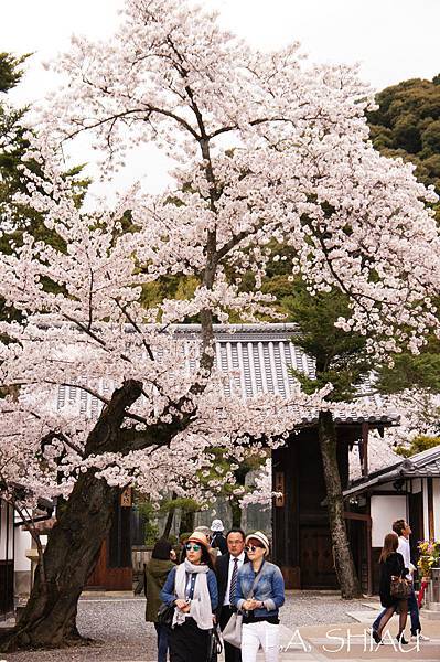 京都‧清水寺