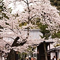 京都‧清水寺