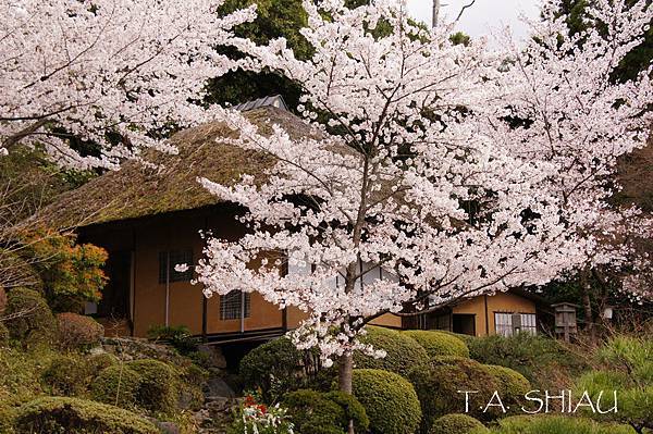 京都‧三年坂