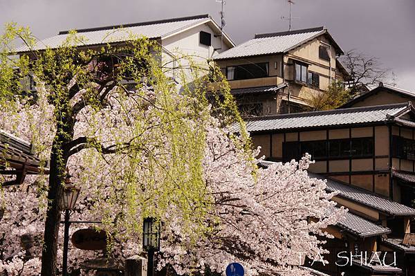 京都‧三年坂