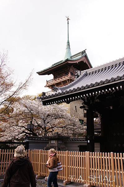 京都‧寧寧之道