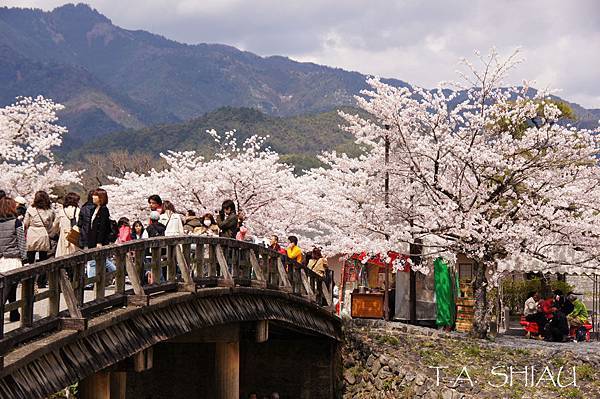 嵐山嵯峨野