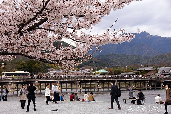 嵐山嵯峨野