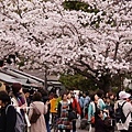 嵐山嵯峨野