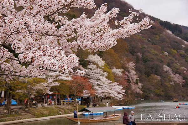 嵐山嵯峨野