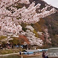 嵐山嵯峨野