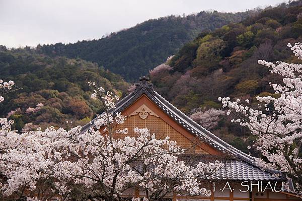 天龍寺