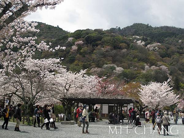 京都‧嵐山嵯峨野