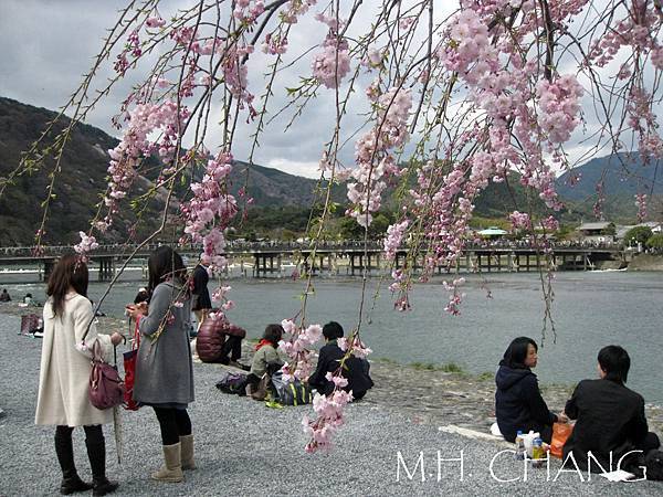 京都‧嵐山嵯峨野