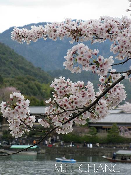 京都‧嵐山嵯峨野