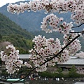 京都‧嵐山嵯峨野