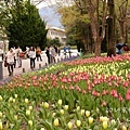 京都府立植物園