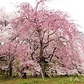 京都府立植物園