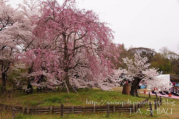 京都府立植物園