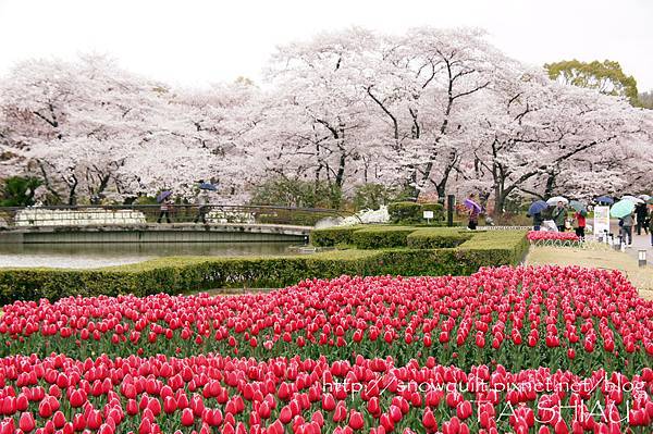 京都府立植物園