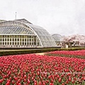 京都府立植物園