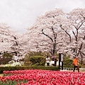 京都府立植物園