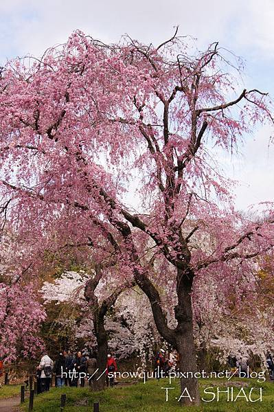 京都府立植物園