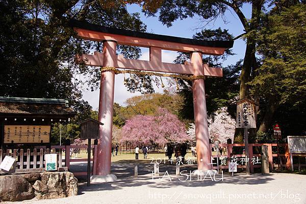 京都‧上賀茂神社