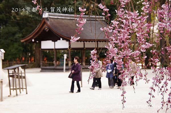 京都‧上賀茂神社