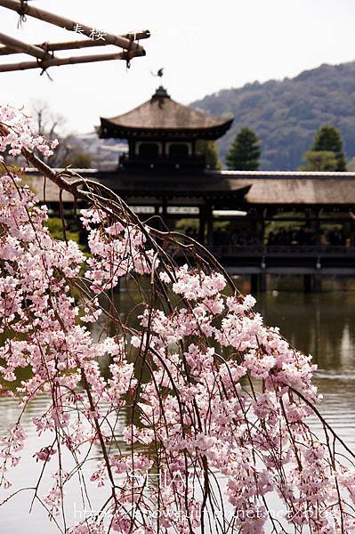 京都‧平安神宮