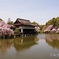 京都‧平安神宮