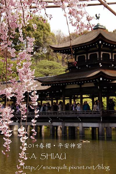 京都‧平安神宮