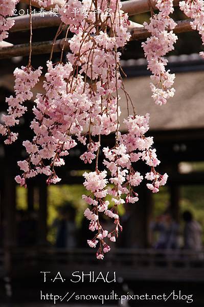 京都‧平安神宮