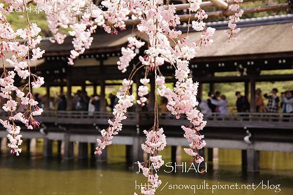 京都‧平安神宮