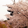 京都‧東寺