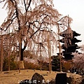 京都‧東寺